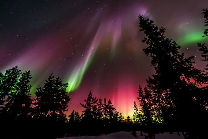 Northern Lights Hunt from Rovaniemi with Folk Tales and Snacks over Campfire - Stop 2: The Campfire Hour With Finnish Legends and Hot Snacks