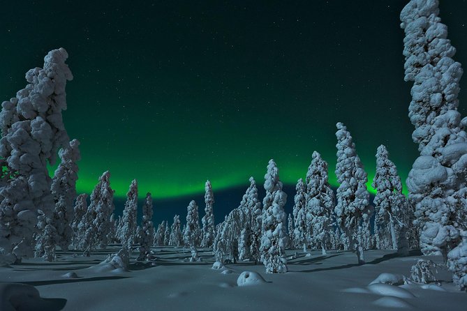 Northern Lights Hunt from Rovaniemi with Folk Tales and Snacks over Campfire - Price and Value: What $150.20 Covers (and What It Doesn’t)