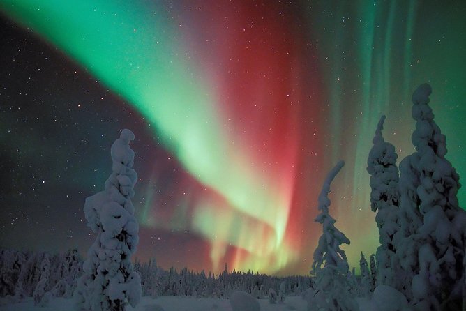 Northern Lights Hunt Including Snacks on Campfire from Levi - The guide’s aurora spotting game plan (and what you’ll actually learn)