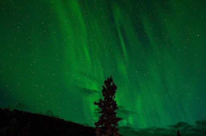 Northern lights hunting by minibus - Pickup at your hotel reception, and what “small group” changes