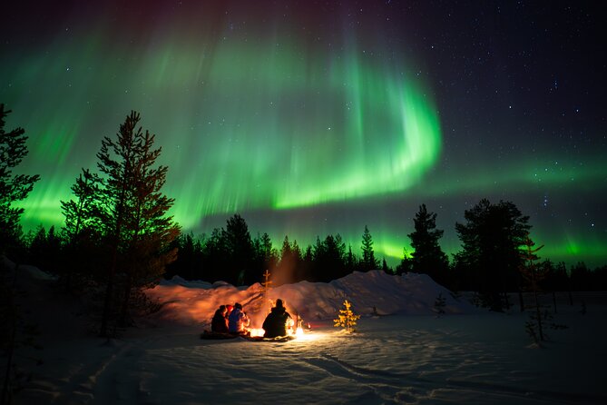 Northern Lights Hunting Expedition in Ranua, Lapland - Photography help you can actually use