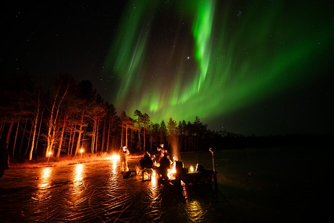 Northern Lights Hunting Expedition in Ranua, Lapland - Pickup from Ranua Resorts: saving time and stress