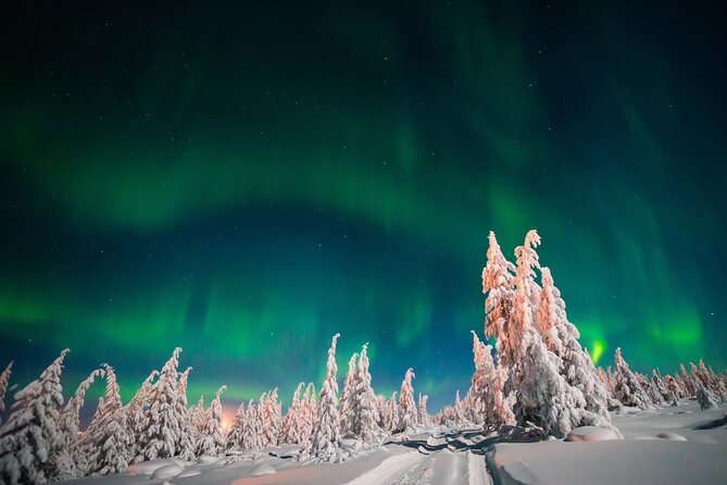 Northern Lights Hunting of Rovaniemi - How the Team Helps You Photograph the Aurora (and Not Waste the Moment)