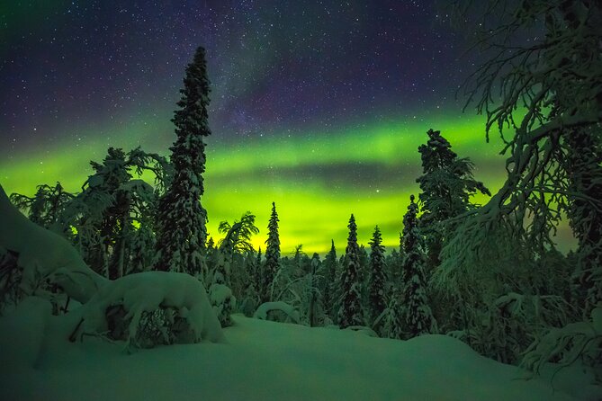 Northern Lights Hunting of Rovaniemi - Who This Northern Lights Hunt Fits Best