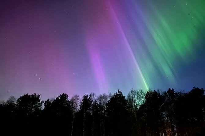 Northern Lights Hunting of Rovaniemi - Price and What $89.36 Buys You (Beyond the Bus Ride)