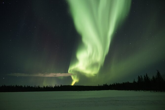 Northern Lights Hunting Photo Tour in Levi - The selfie-stick guide and why it changes your results