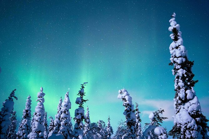Northern Lights Hunting Photography Tour in Levi - How the Photography Support Actually Helps (Even with a Phone)