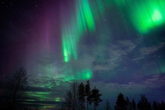 Northern Lights Hunting Photography Tour in Levi - Price, Group Size, and What You Really Get for $147.69