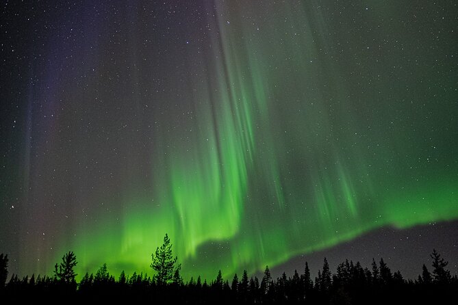 Northern Lights Hunting with a photographer (Only small groups) - Pickup in Rovaniemi, and The Real Meaning of a Flexible Start