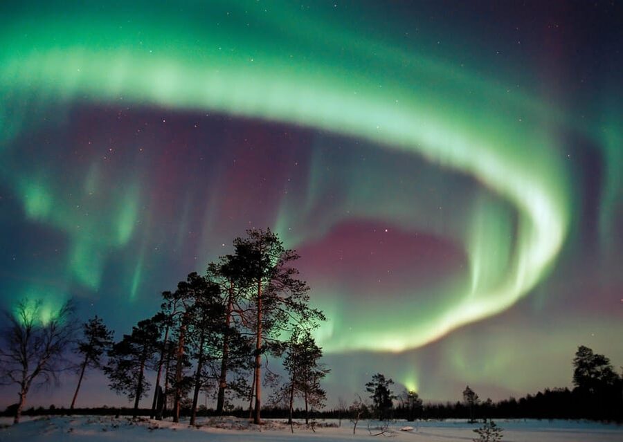 Northern Lights Hunting with Aurora Workshop - Key Highlights Worth Planning For