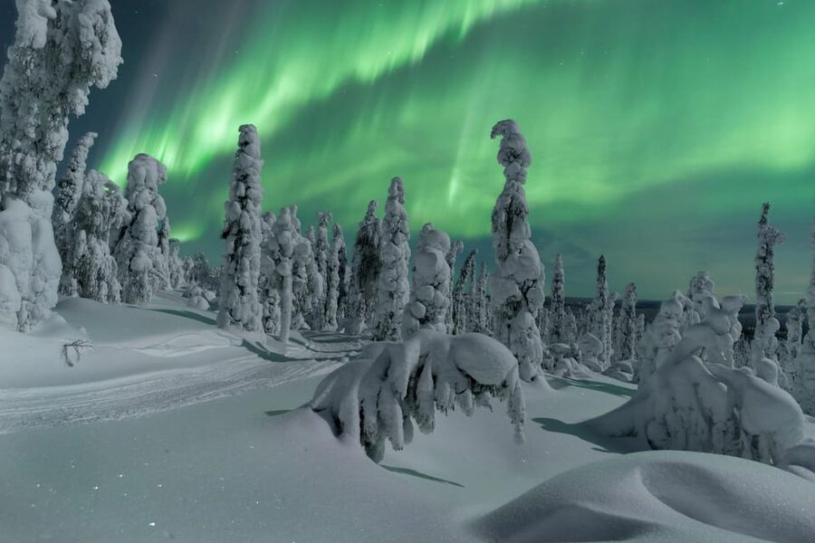 Northern Lights Hunting with Aurora Workshop - Chasing the Lights in Inari: Low Light Beats Luck