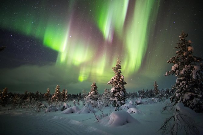 Northern Lights Hunting with Snowmobiles - Why This Snowmobile Aurora Safari Feels Different From Typical Rovaniemi Tours