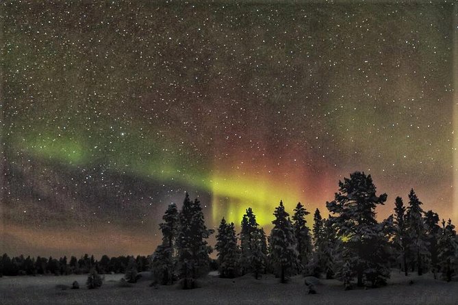Northern Lights Hunting with Snowmobiles - Your 3.5 Hours on Snow: What the Evening Experience Actually Feels Like