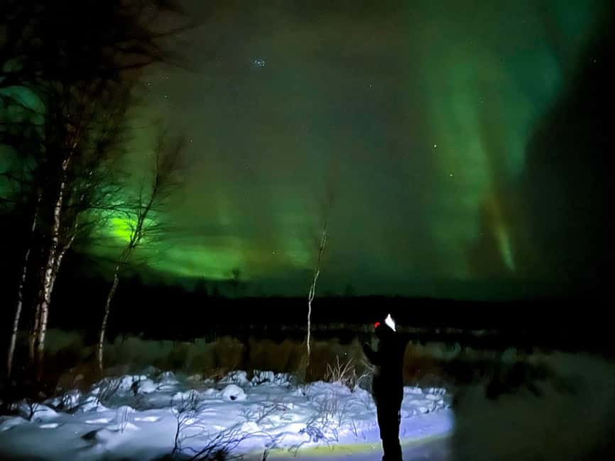 Northern lights private tour Rovaniemi - The Aurora Hunt: Photo Stops, Guided Moments, and a Short Walk