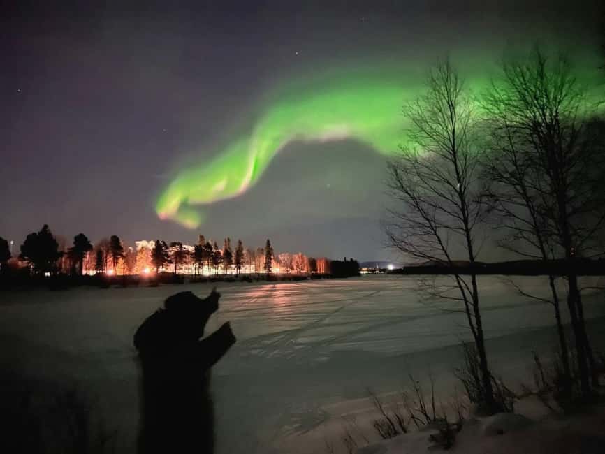 Northern lights private tour Rovaniemi - What You Actually Get Served: Hot Juice, Cookies, and Glögi Possibilities