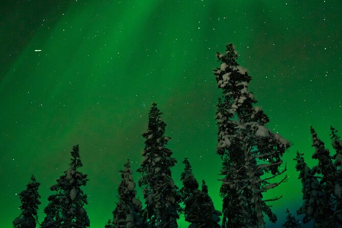 Northern lights Reindeer Sledge Ride - Why a 7:00 pm Reindeer and Northern Lights Safari Makes Sense in Rovaniemi