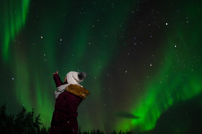 Northern lights Reindeer Sledge Ride - The Reindeer Sledge Ride: the Practical Comfort Facts