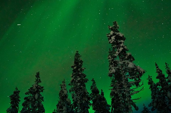 Northern lights Reindeer Sledge Ride - Price and Value at About $131.87 per Person