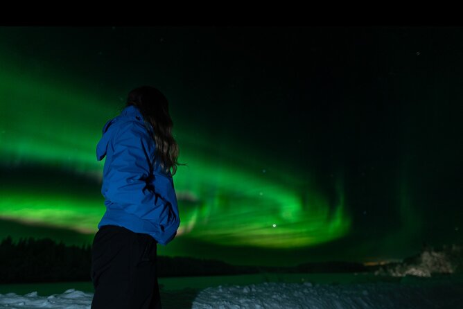 Northern Lights Rovaniemi: Guaranteed Tour with Local Guide - Why Rovaniemi’s Guaranteed Aurora Hunt Costs What It Costs