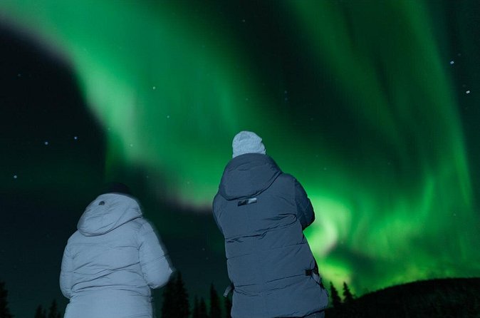 Northern Lights Rovaniemi: Guaranteed Tour with Local Guide - Comfort Details That Actually Matter in the Arctic
