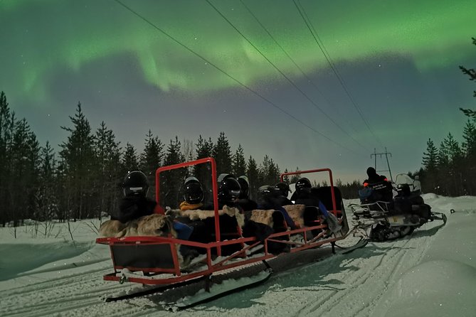 Northern Lights Sledge Ride - Key Points Worth Knowing Before You Go