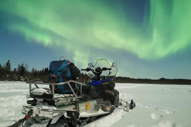 Northern Lights Sledge Ride - Why This 8:00 pm Aurora Sledge Ride Can Be Great Value