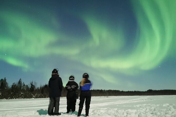 Northern Lights Sledge Ride - The Snowmobile-Sledge Ride: Fun Speed, Real Bumps, and Air Sensitivity