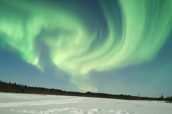 Northern Lights Sledge Ride - The Aurora Chase: What Guides Actually Do When the Sky Cooperates
