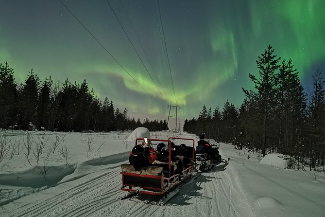 Northern Lights Sledge Ride - Stops, Campfire Warm-Up, and Hot Drinks in the Middle of Nowhere