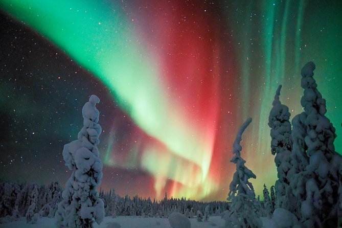 Northern Lights Snowmobile Driving Safari - Aurora Reality Check, Cloudy Nights and the Best Substitutes