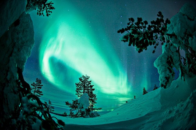 Northern Lights Snowmobile Driving Safari in Kemi - Kemi snowmobile aurora: what the day feels like