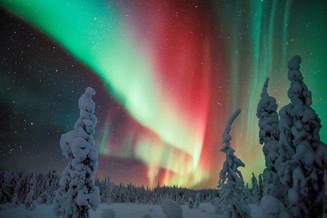 Northern Lights Snowmobile Driving Safari in Kemi - Pickup, meeting point, and how timing really works