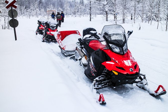 Northern Lights Snowmobile Sleigh Ride - Stop at the Summit: The Wooden Watchtower and 360-Degree Horizon
