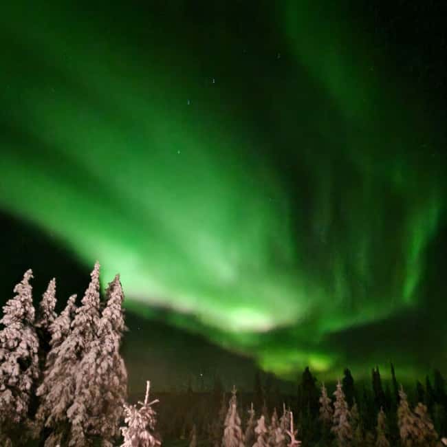 Northern Lights Snowshoe Hike in Levi with Latvian Guide - Key points to know before you go