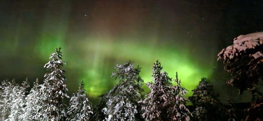 Northern Lights Snowshoe Hike in Levi with Latvian Guide - What you learn about Lapland while you walk