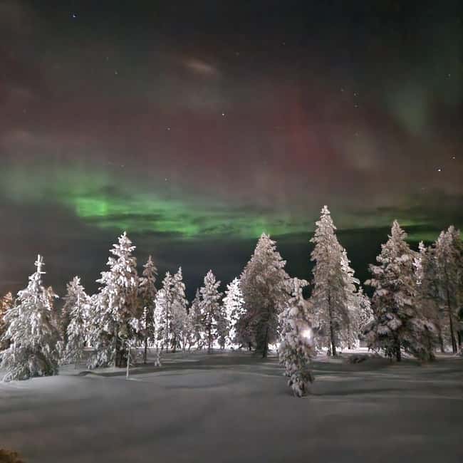 Northern Lights Snowshoe Hike in Levi with Latvian Guide - Snowshoes, headlamps, and what to wear for real