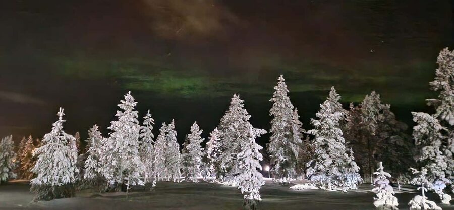Northern Lights Snowshoe Hike in Levi with Latvian Guide - Price and value at about $116 for 3 hours