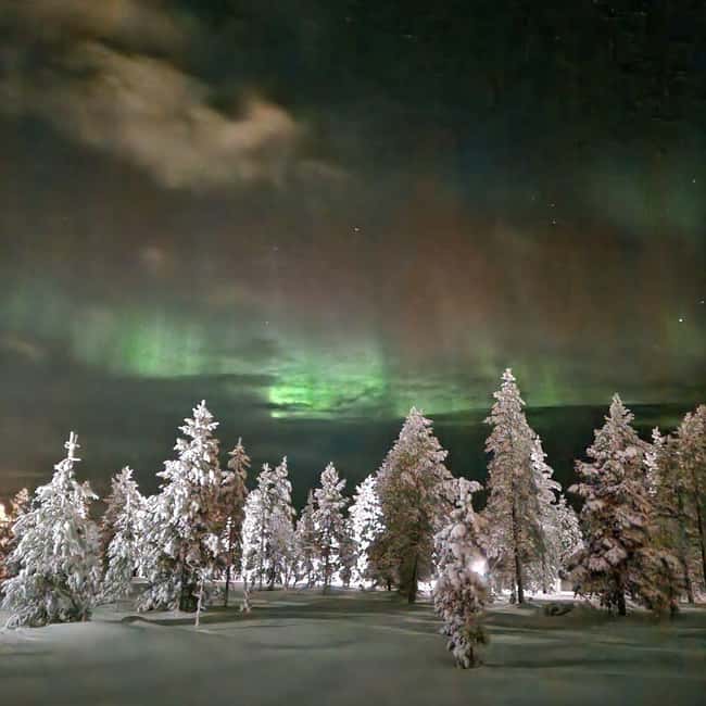 Northern Lights Snowshoe Hike in Levi with Latvian Guide - Who should book this Levi snowshoe aurora hike