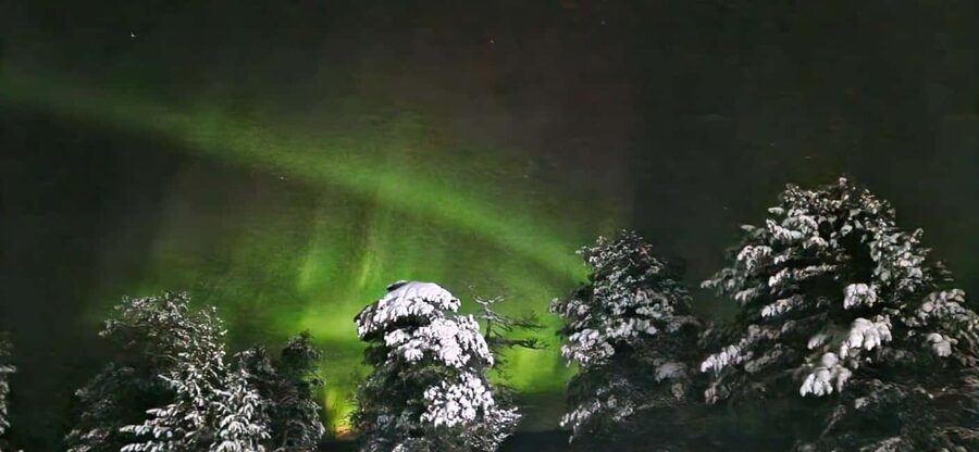 Northern Lights Snowshoe Hike in Levi with Latvian Guide - The 3-hour flow in plain language