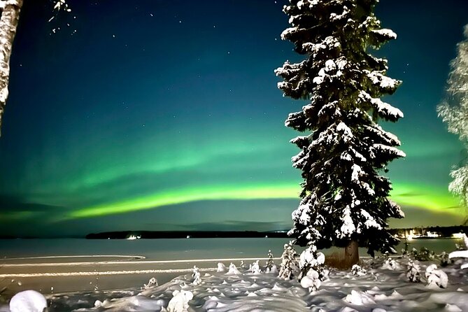 Northern Lights Tour At The Campfire - Sergio and Pepe: what makes the guiding feel worth it