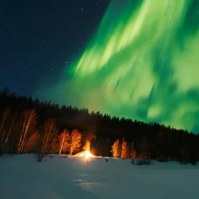 Northern Lights Tour Sleigh Ride - Key things that make this sleigh ride worth your time