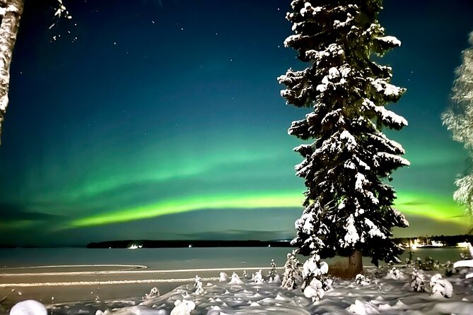 Northern Lights Tour Snowmobile Driving - Key highlights at a glance