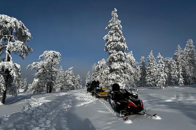 Northern Lights Tour Snowmobile Driving - Meeting point, pickup, and how to avoid a stressful start