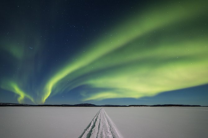Northern lights tour to Lake Inari from Ivalo, Reindeers & Dinner - Key things I’d circle before booking