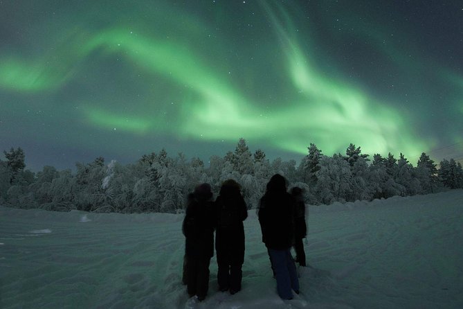 Northern Lights Tour with BBQ and drinks - The minivan ride into the Arctic dark: why movement helps your odds