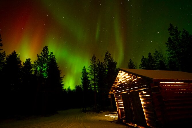Northern Lights Trip to a Magical Place in Lapland - Pickup and mobile ticket, so you can focus on the night