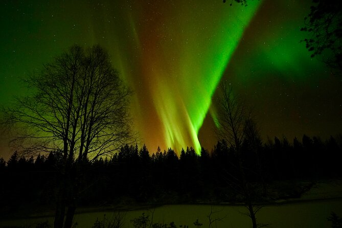 Northern Lights Trip to a Magical Place in Lapland - Price and value: what $119.09 buys you in the real world