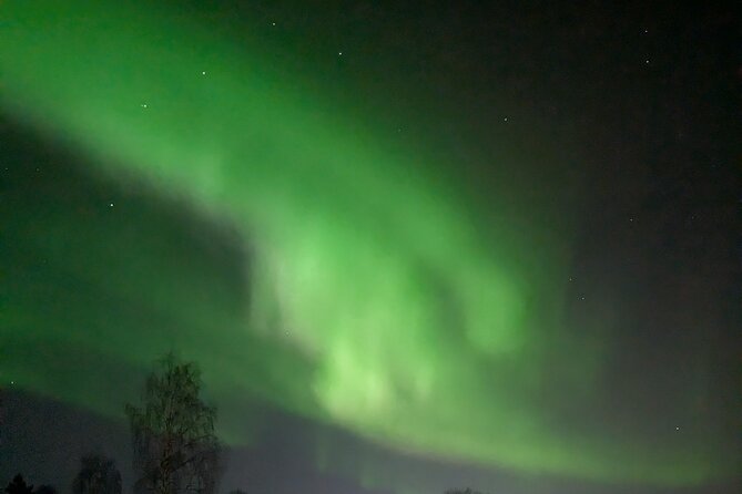 Northern Lights Walk to Old Kemi with BBQ and Arctic Views - Quick highlights before you go