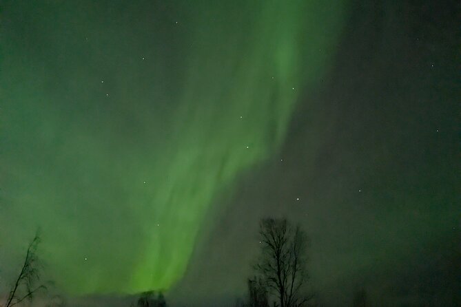 Northern Lights Walk to Old Kemi with BBQ and Arctic Views - Why the Kemi Snowcastle start feels like the right kind of Arctic night