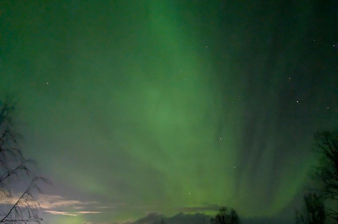 Northern Lights Walk to Old Kemi with BBQ and Arctic Views - Northern lights viewing: good location, real weather dependence, no guarantees